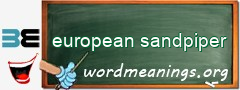 WordMeaning blackboard for european sandpiper